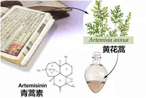 ag视讯百家乐,(集团)有限公司：向中医药看齐，与世界共享中医药文化(图1)